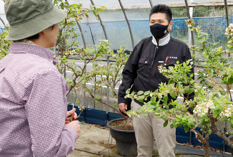 産地開発営業（北九州本社）